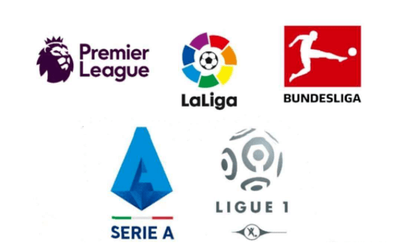 全面发展的 全面发展的